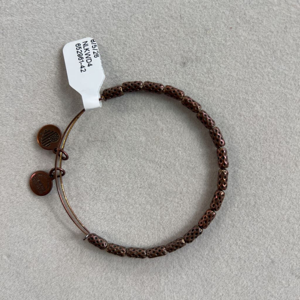 Alex and Ani Gold Charm Bangle Bracelet
