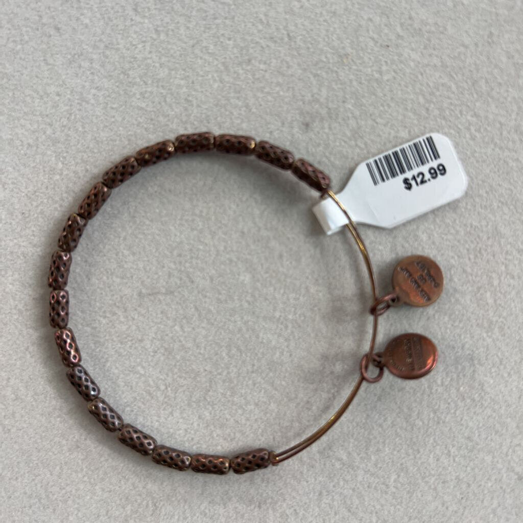 Alex and Ani Gold Charm Bangle Bracelet