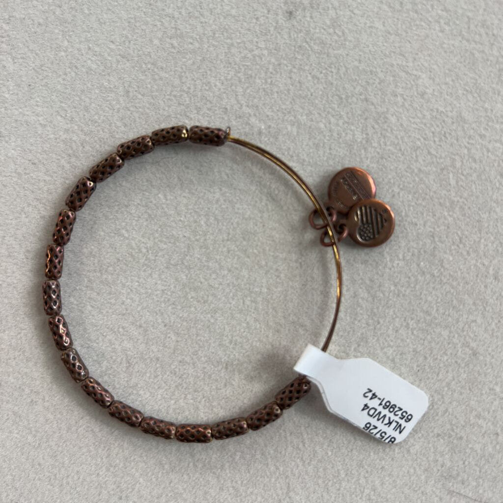 Alex and Ani Gold Charm Bangle Bracelet