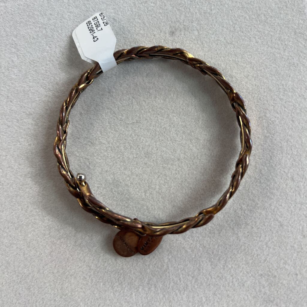 Alex and Ani Gold Charm Bangle Bracelet