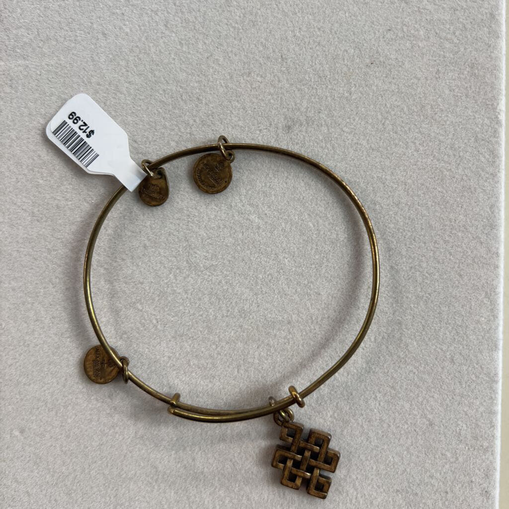 Alex and Ani Gold Charm Bangle Bracelet