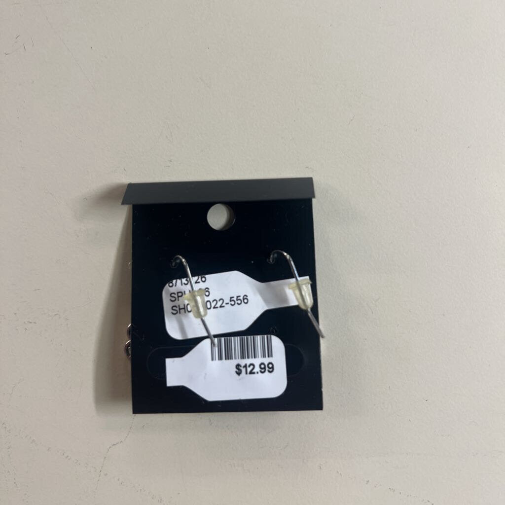 Silver Drop Earrings