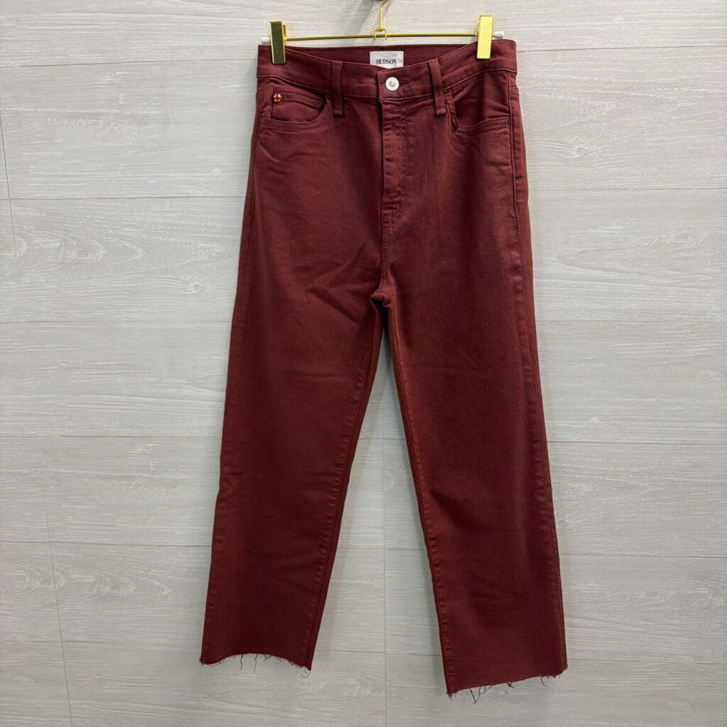 Hudson Purple Shimmer Denim Pants 27