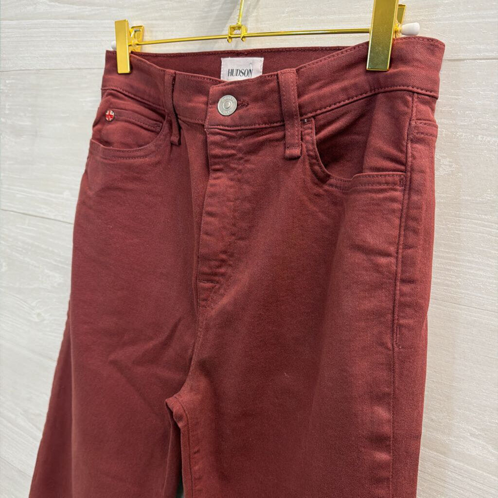 Hudson Purple Shimmer Denim Pants 27