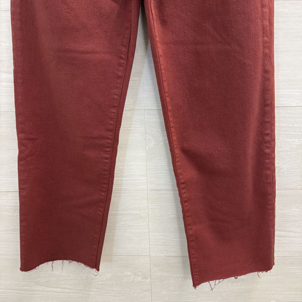 Hudson Purple Shimmer Denim Pants 27