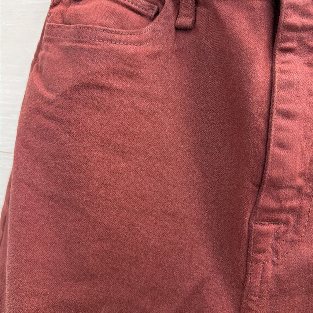 Hudson Purple Shimmer Denim Pants 27