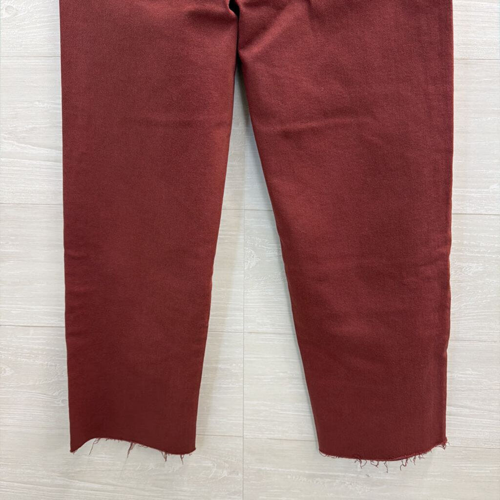Hudson Purple Shimmer Denim Pants 27