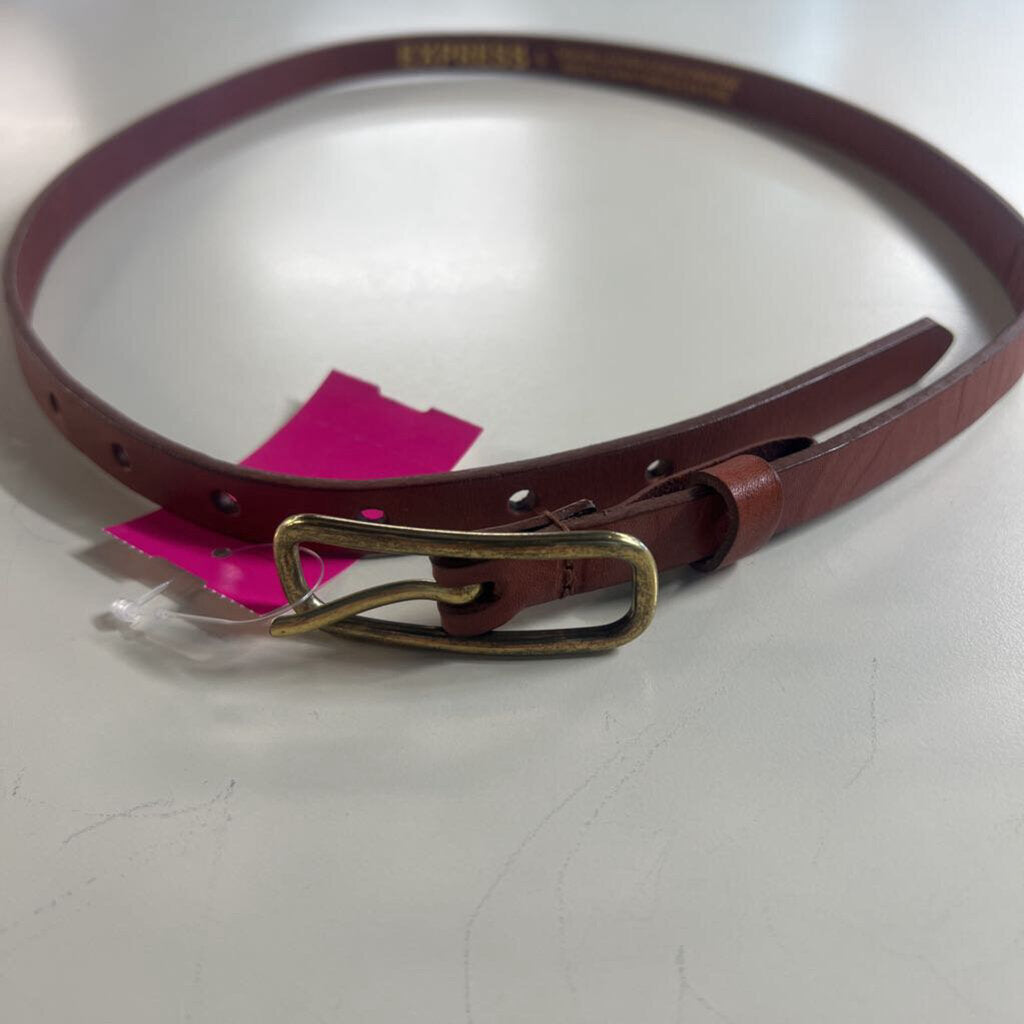 Express Brown Leather Thin Belt Small