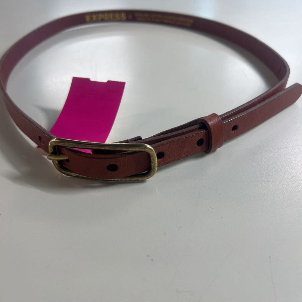 Express Brown Leather Thin Belt Small