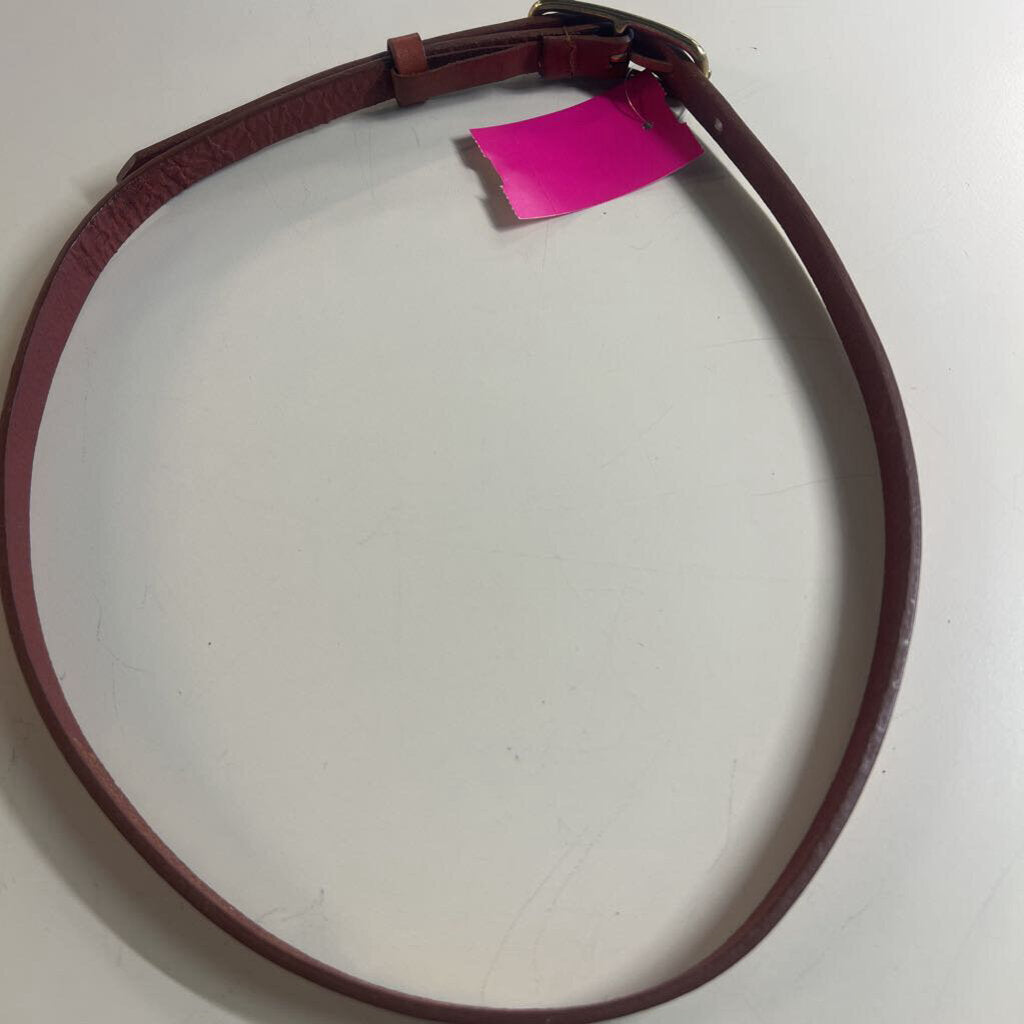 Express Brown Leather Thin Belt Small