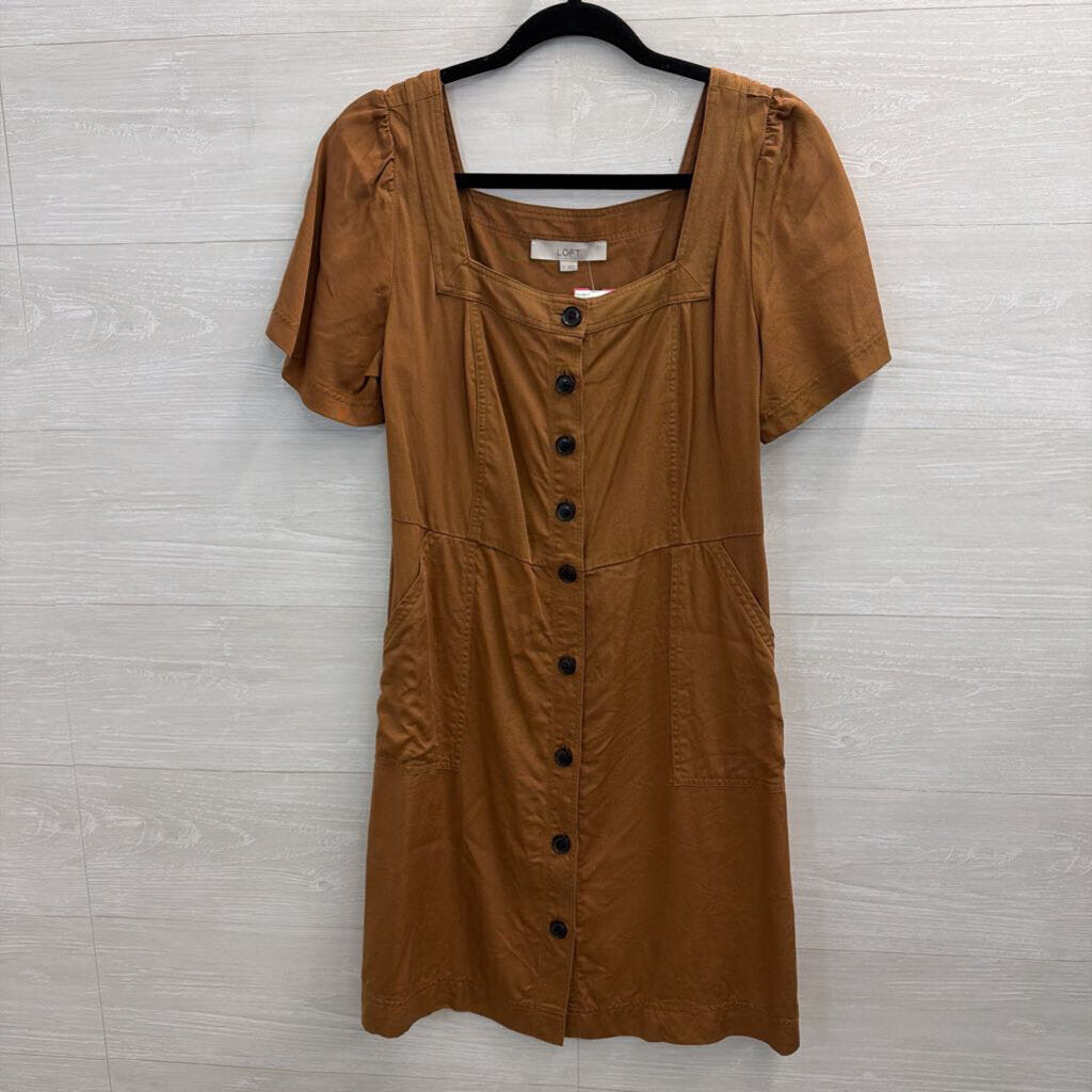 Loft Brown Short Sleeve Button Front Dress 4
