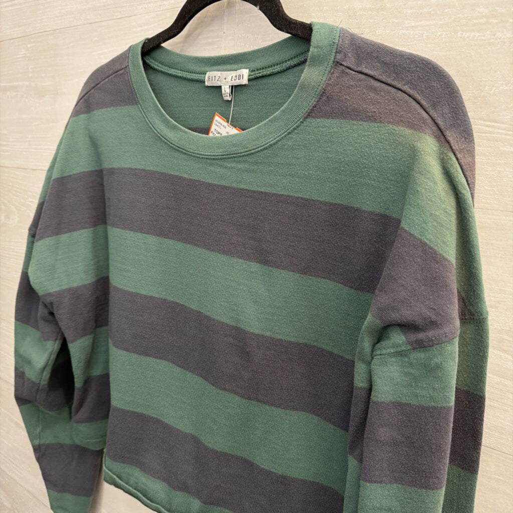 Fitz and Eddi Green/ Blue Striped Cropped Long Sleeve Top Large