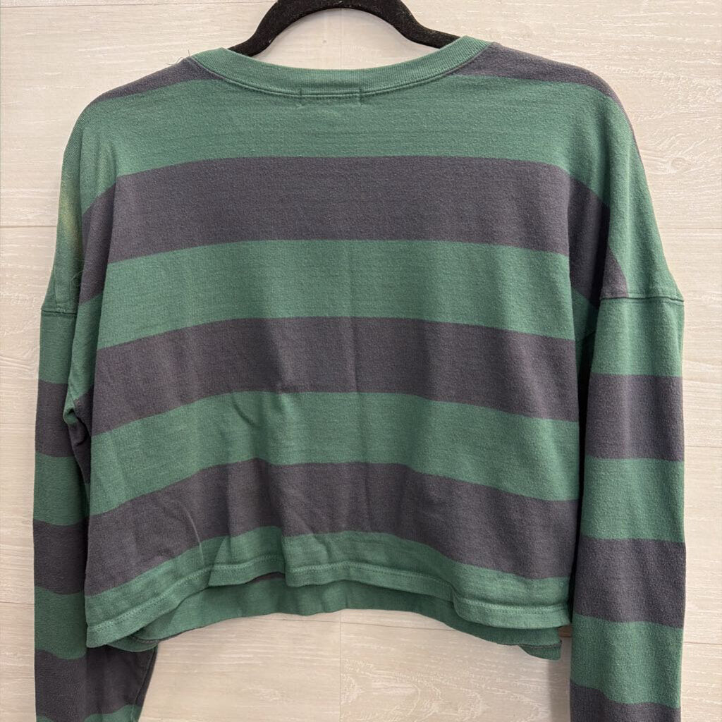 Fitz and Eddi Green/ Blue Striped Cropped Long Sleeve Top Large