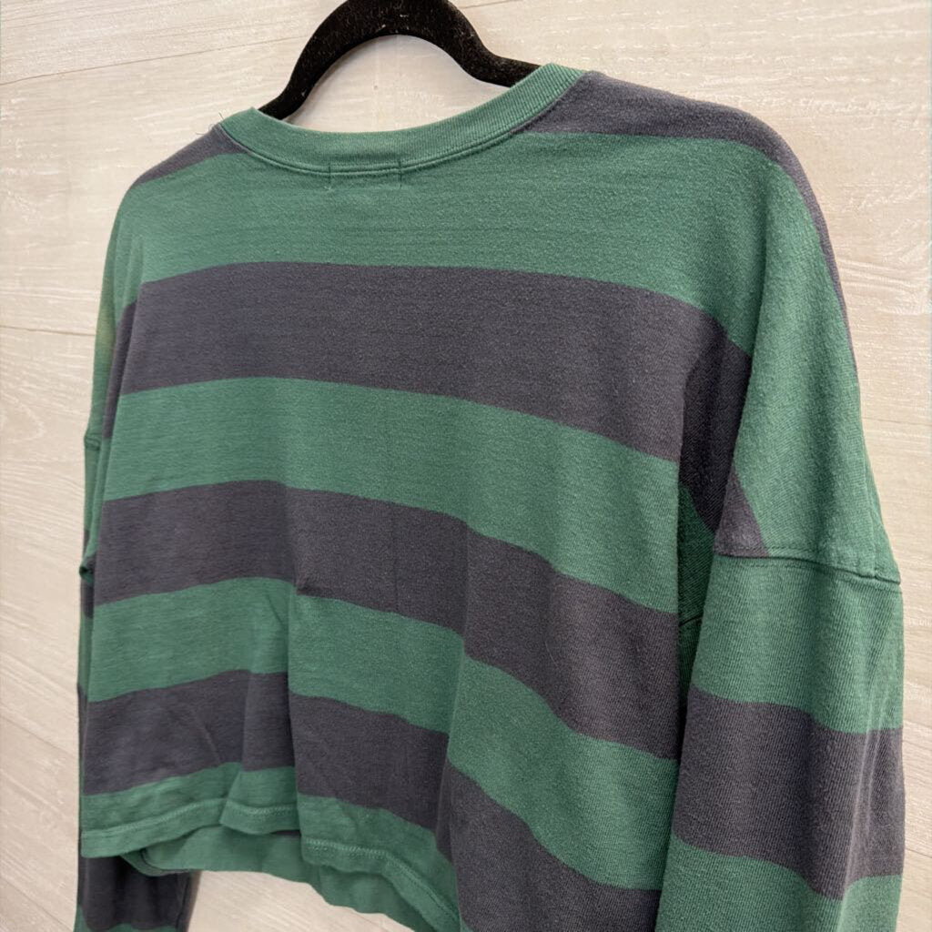 Fitz and Eddi Green/ Blue Striped Cropped Long Sleeve Top Large