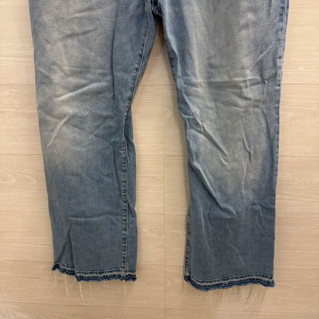Loft Light Wash The Relaxed Flare Jeans 32