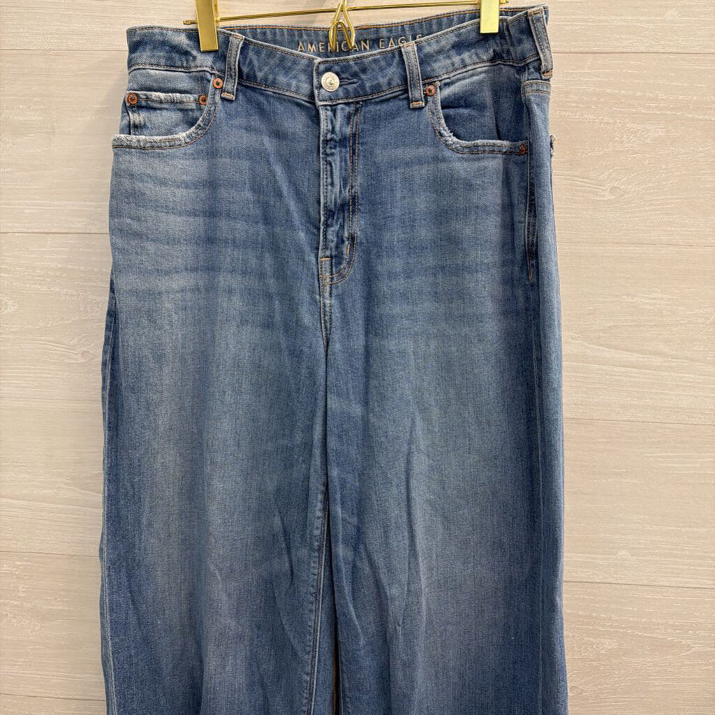 American Eagle Medium Wash Super High Rise Baggy Wide Leg Jeans 10