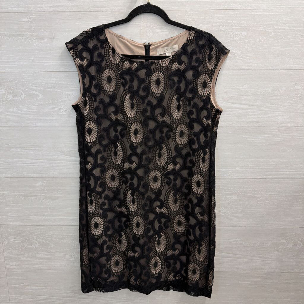 Loft Black/ Beige Layered Lace Shift Dress 6