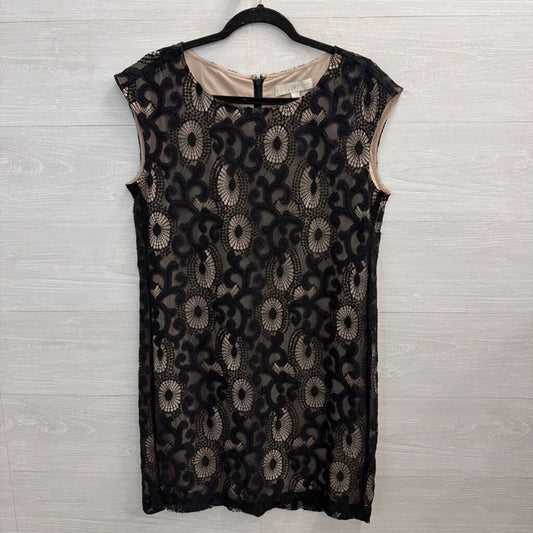 Loft Black/ Beige Layered Lace Shift Dress 6