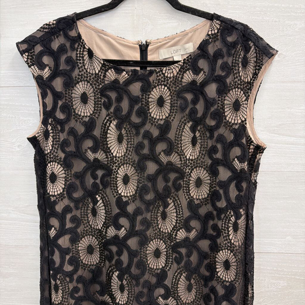 Loft Black/ Beige Layered Lace Shift Dress 6