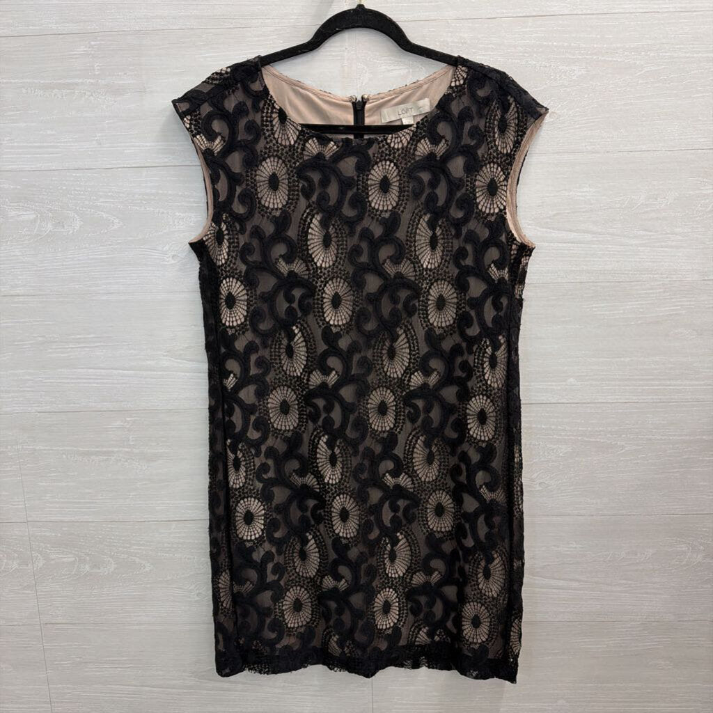 Loft Black/ Beige Layered Lace Shift Dress 6