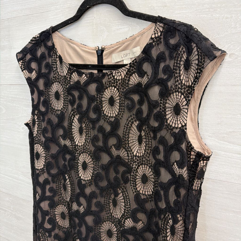 Loft Black/ Beige Layered Lace Shift Dress 6