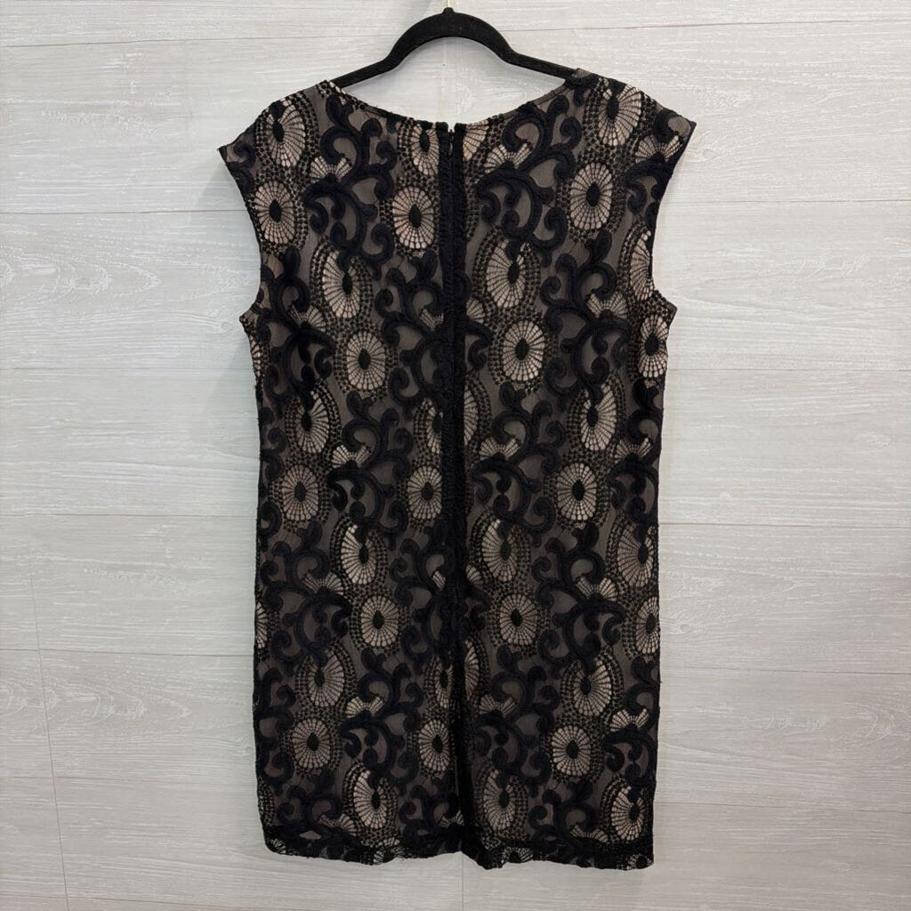 Loft Black/ Beige Layered Lace Shift Dress 6