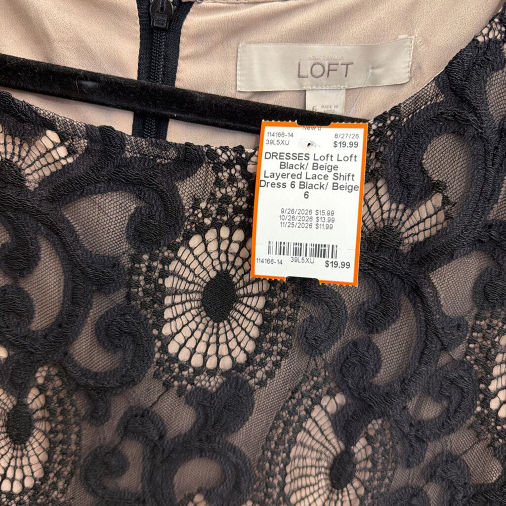 Loft Black/ Beige Layered Lace Shift Dress 6