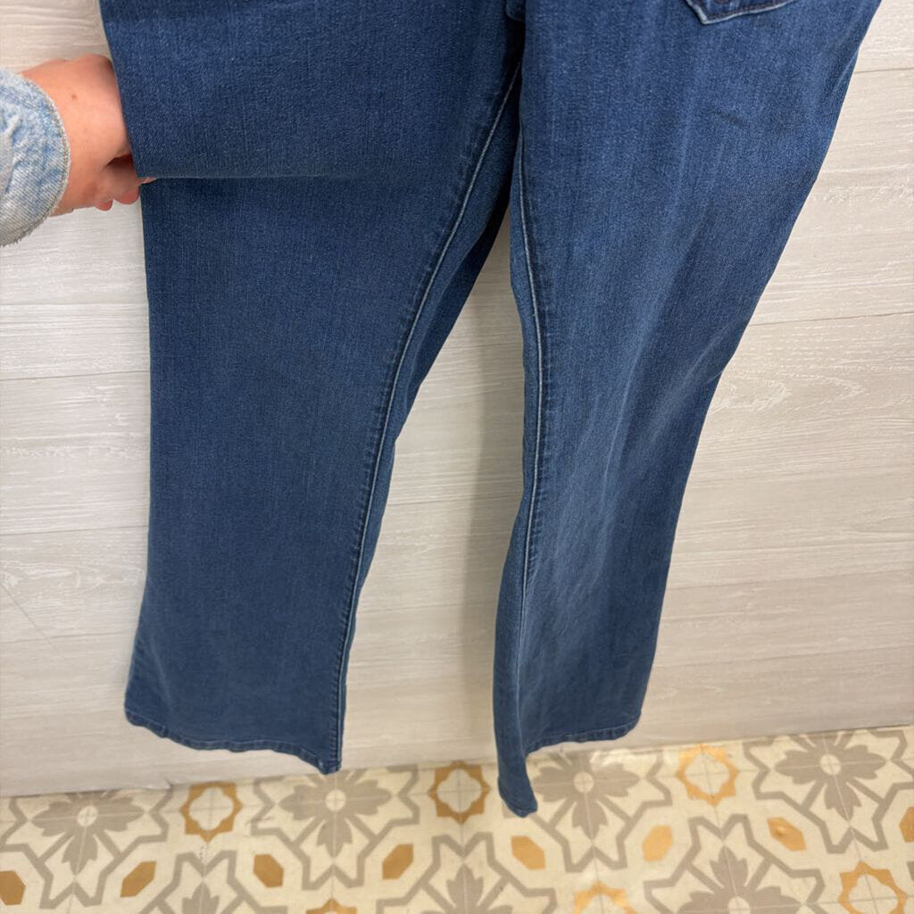 BP Dark Wash Denim Overalls 27