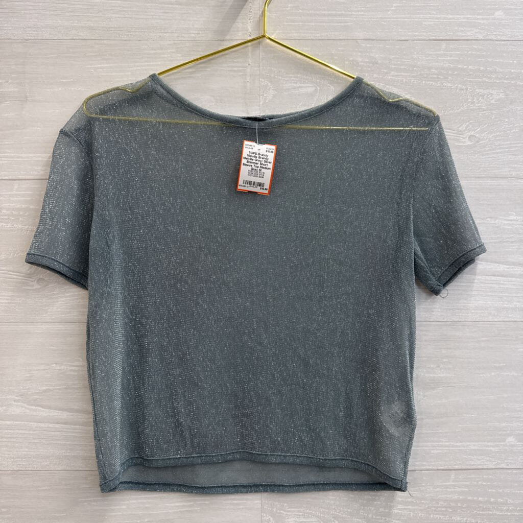 Brandy Melville Grey/ Silver Shimmer Short Sleeve Top Medium