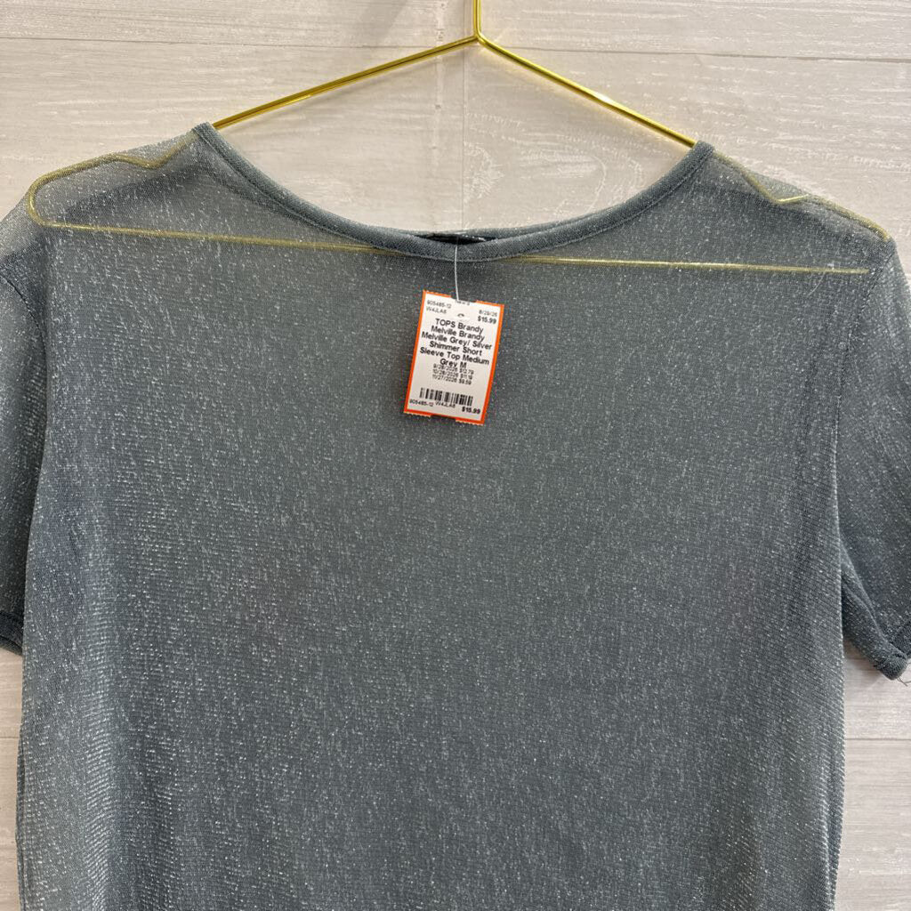 Brandy Melville Grey/ Silver Shimmer Short Sleeve Top Medium