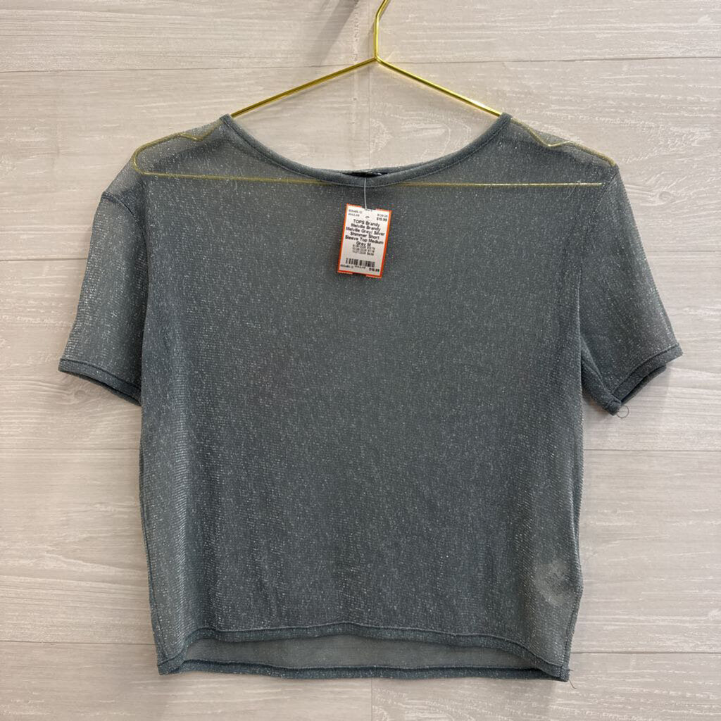 Brandy Melville Grey/ Silver Shimmer Short Sleeve Top Medium