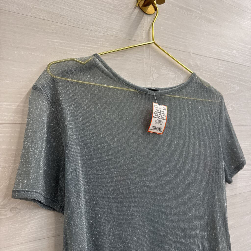 Brandy Melville Grey/ Silver Shimmer Short Sleeve Top Medium