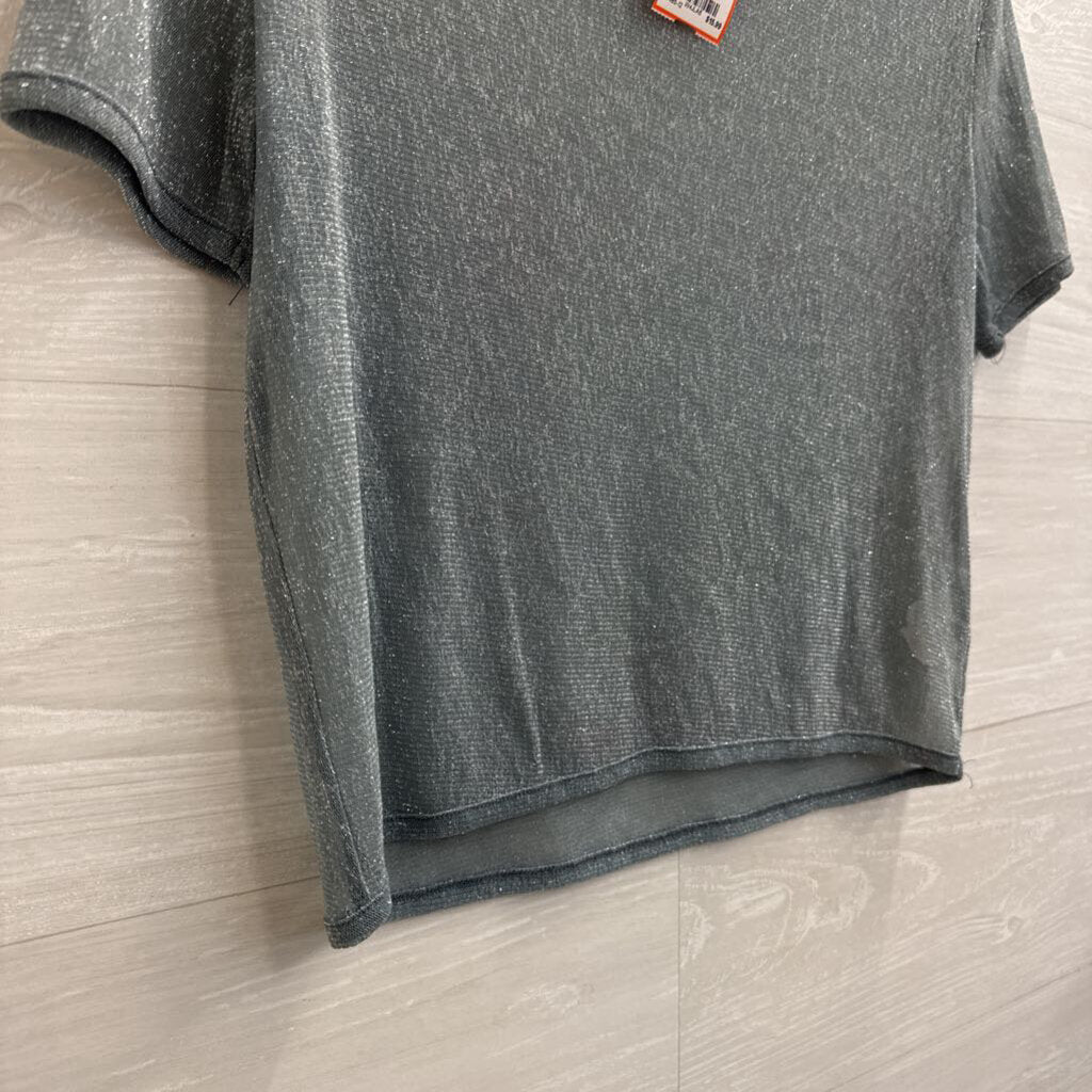 Brandy Melville Grey/ Silver Shimmer Short Sleeve Top Medium