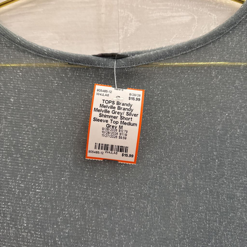 Brandy Melville Grey/ Silver Shimmer Short Sleeve Top Medium