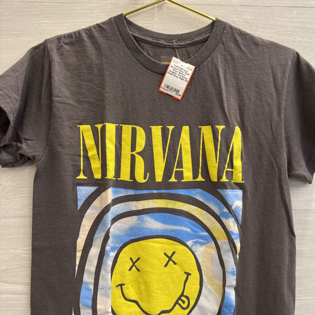 Nirvana Grey/ Multi Short Sleeve Graphic Tee Extra Small