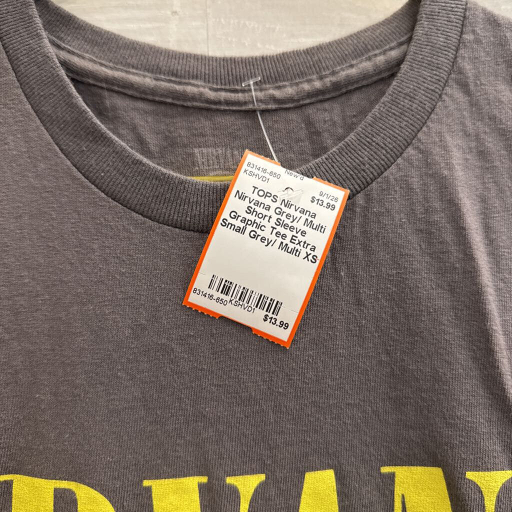 Nirvana Grey/ Multi Short Sleeve Graphic Tee Extra Small