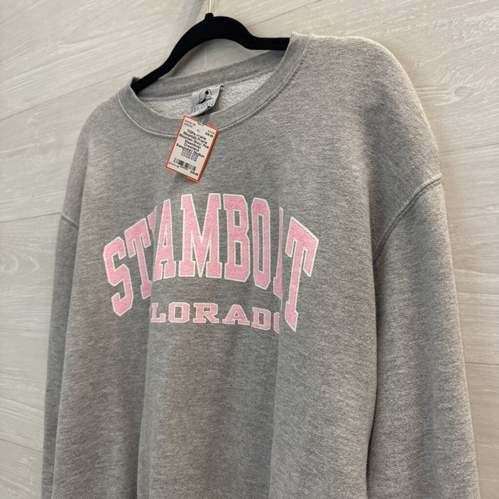 Prairie Mountain Grey/ Pink Steamboat Crewneck Sweatshirt Medium