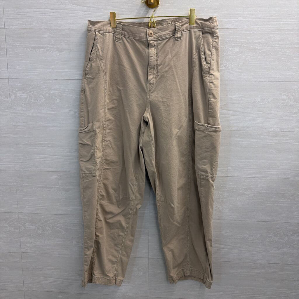 American Eagle Beige Barrel Side Pocket Pants 16