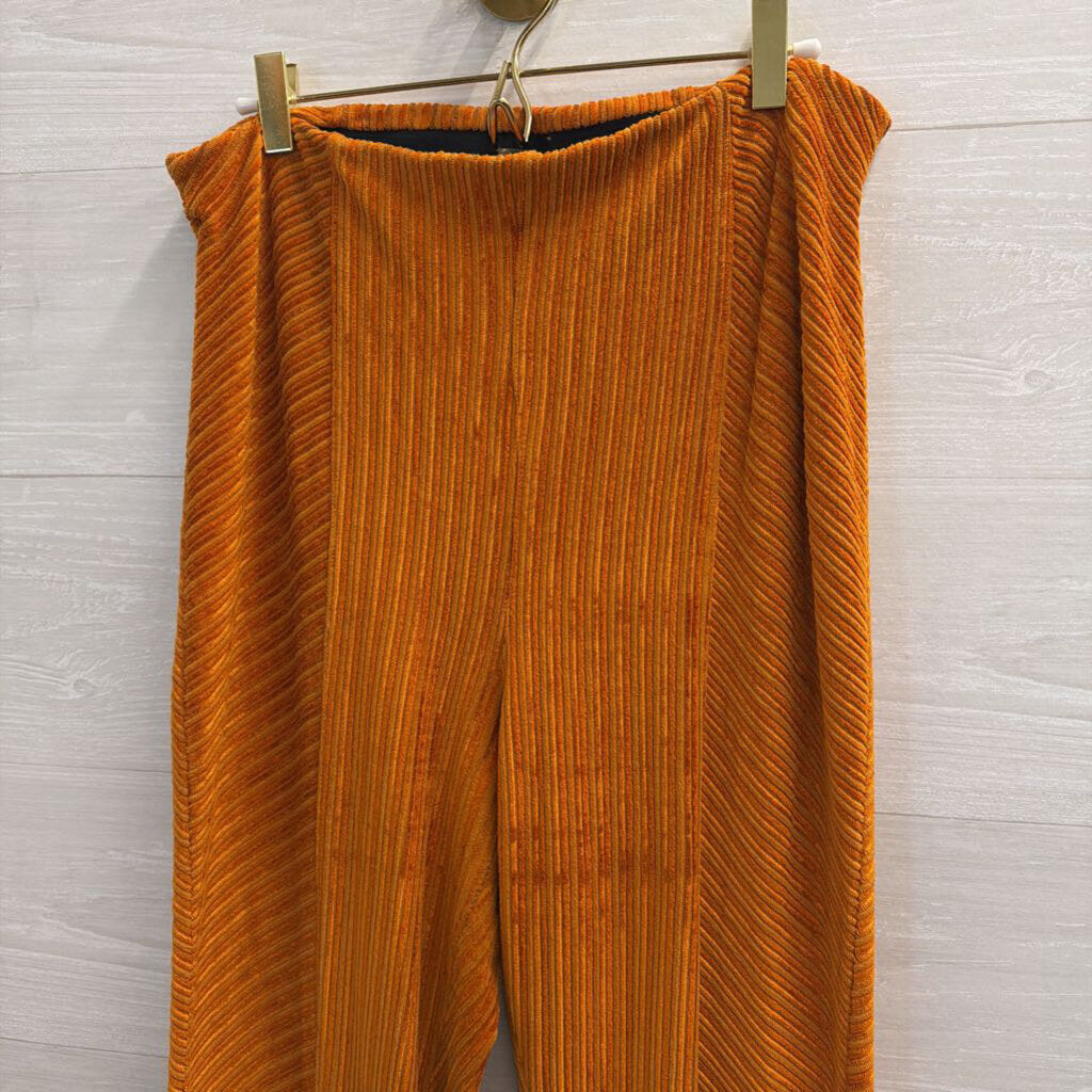 Free People Orange Velvet Striped Flare Leg Pull On Pants Large
