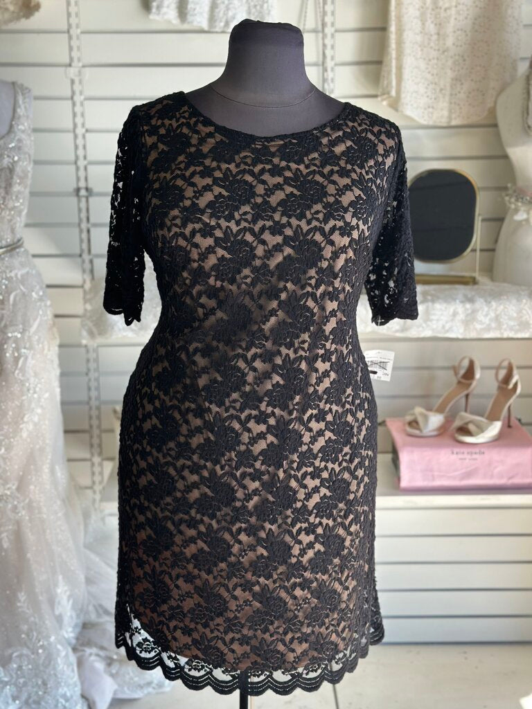 Connected Apparel Black/ Beige Lace Long Sleeve Short Formal Dress 20W