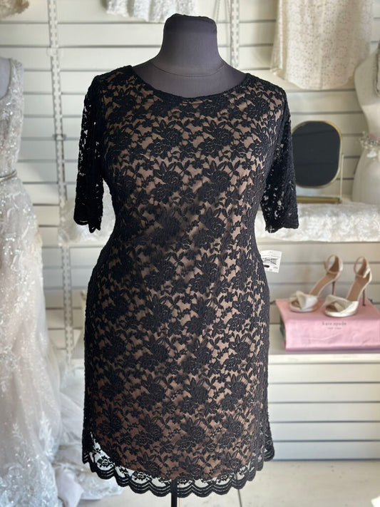 Connected Apparel Black/ Beige Lace Long Sleeve Short Formal Dress 20W
