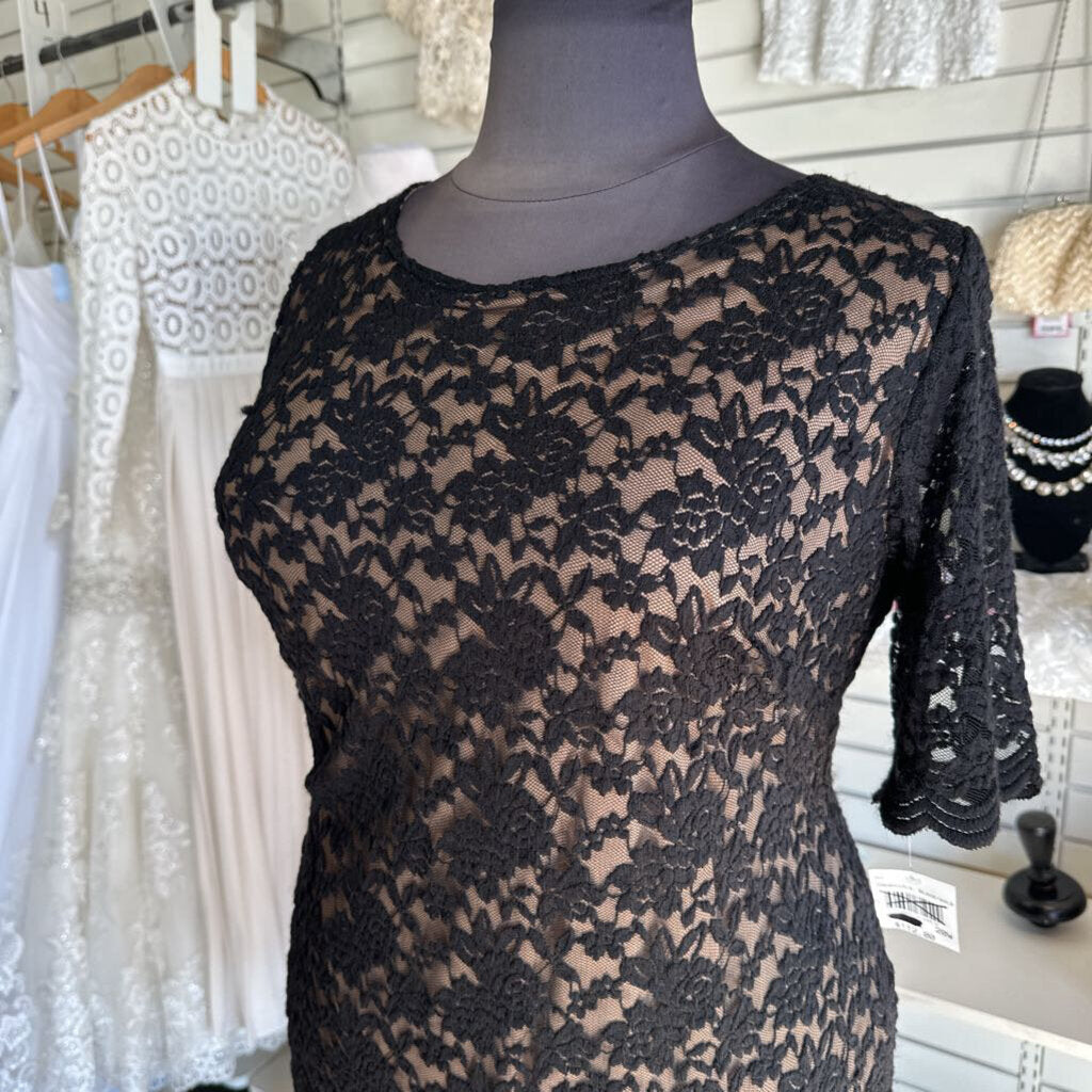 Connected Apparel Black/ Beige Lace Long Sleeve Short Formal Dress 20W