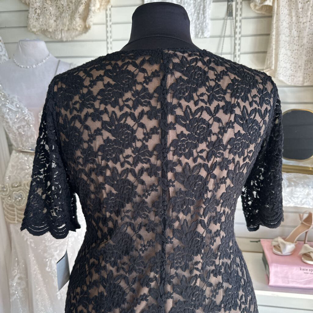Connected Apparel Black/ Beige Lace Long Sleeve Short Formal Dress 20W