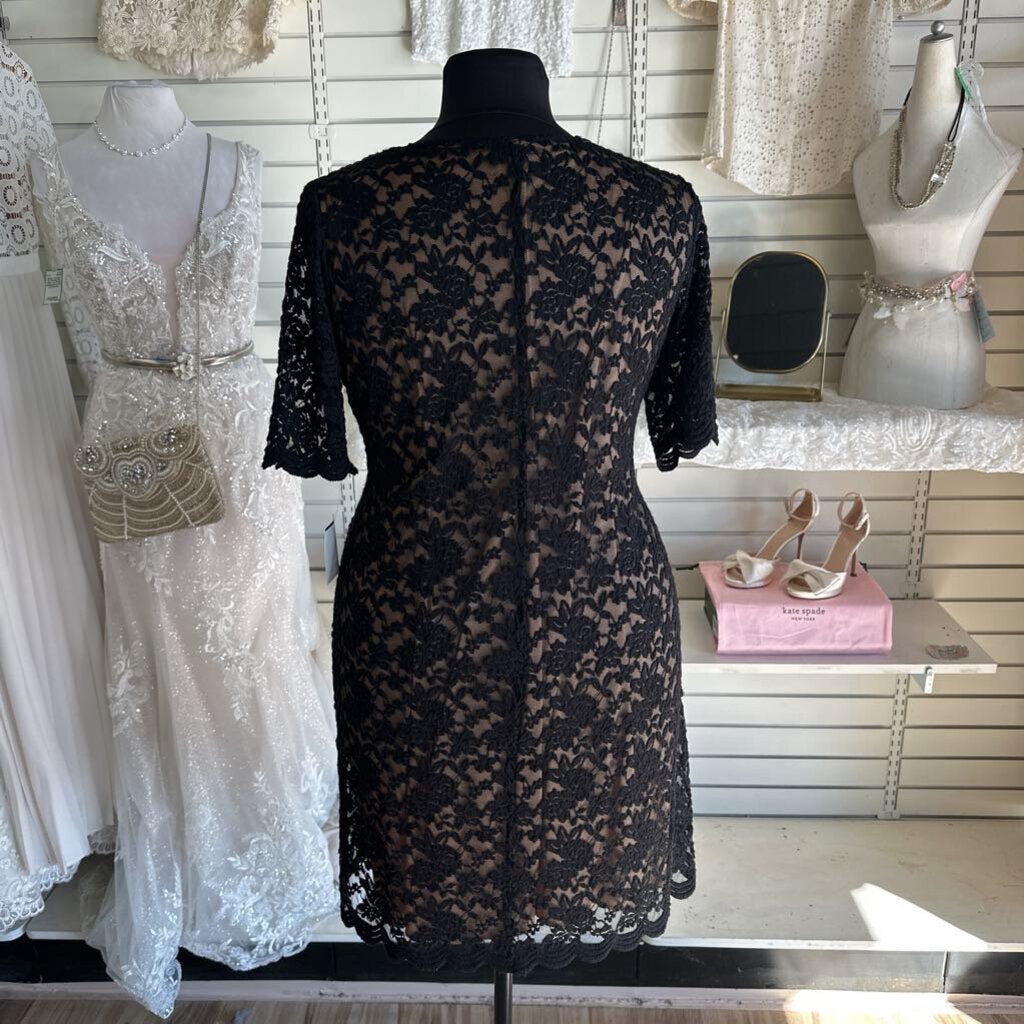 Connected Apparel Black/ Beige Lace Long Sleeve Short Formal Dress 20W