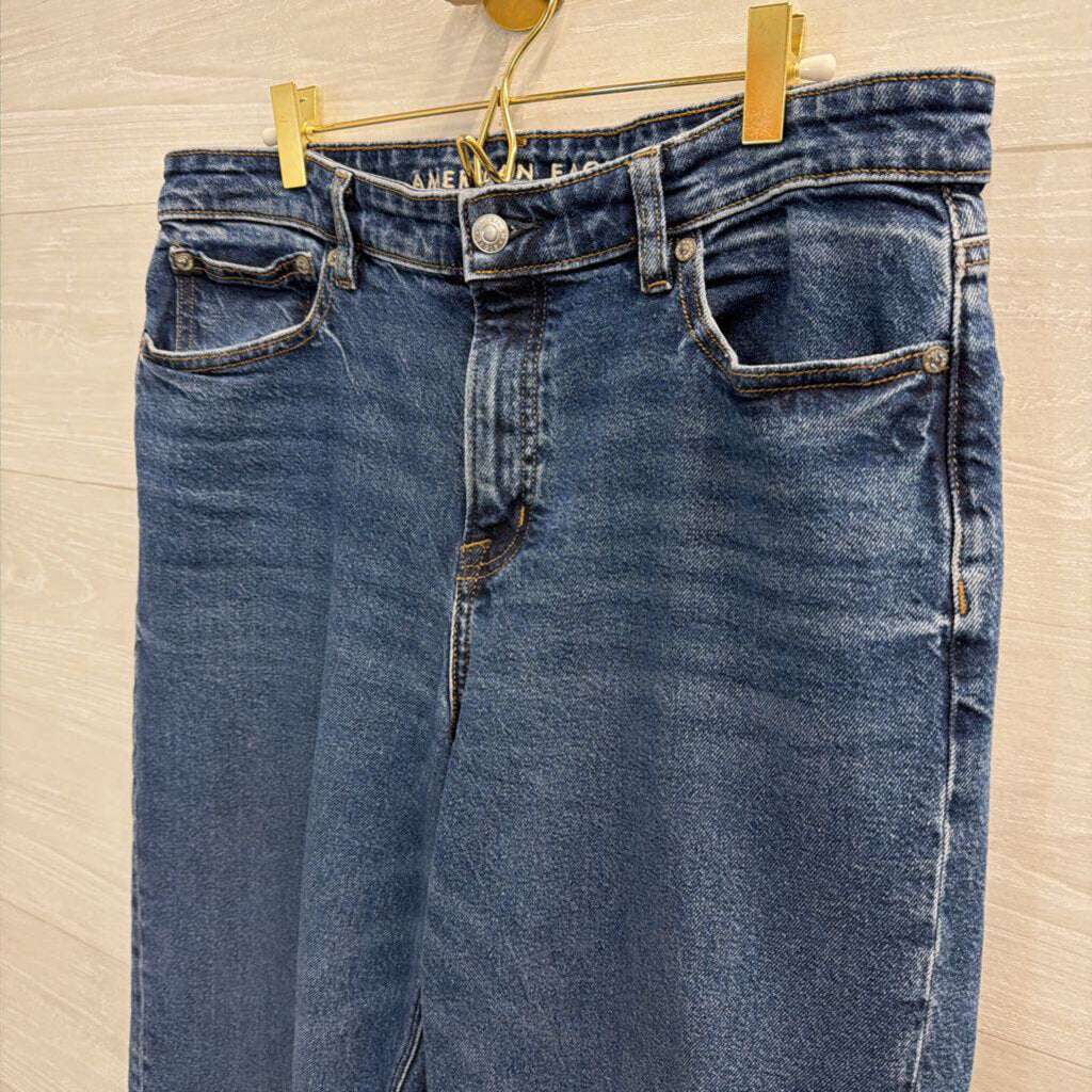American Eagle Dark Wash Stovepipe Jeans 10