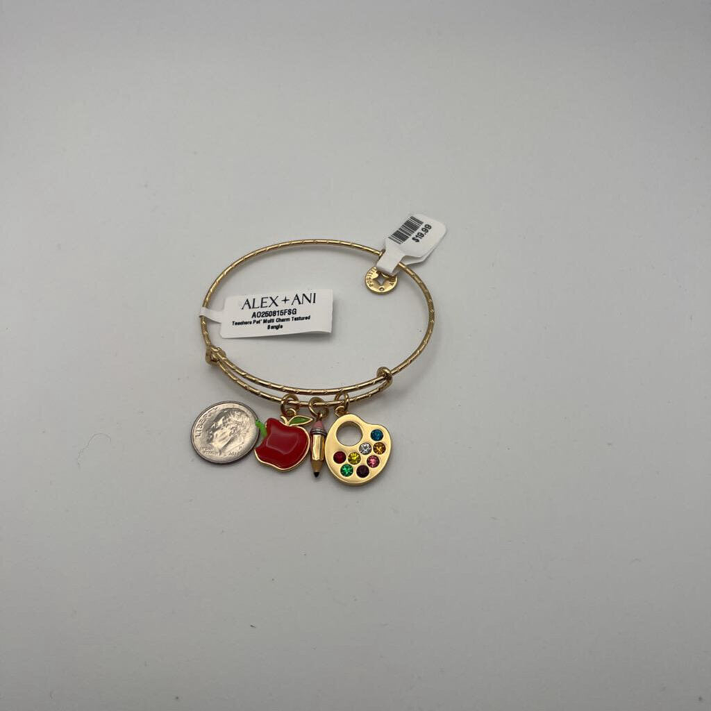 Alex and Ani Gold Teacher's Pet Charm Bracelet
