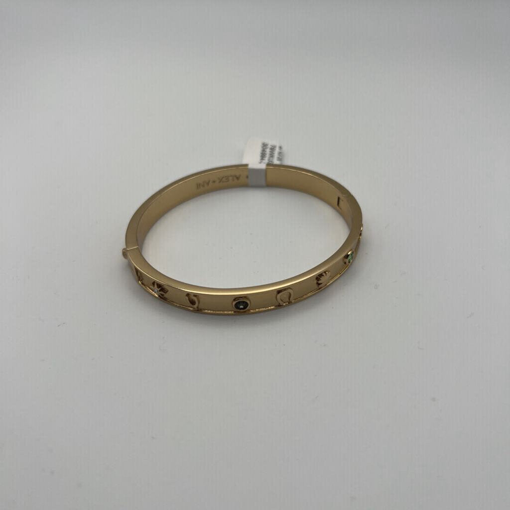 Alex and Ani Lucky Hinge Bracelet