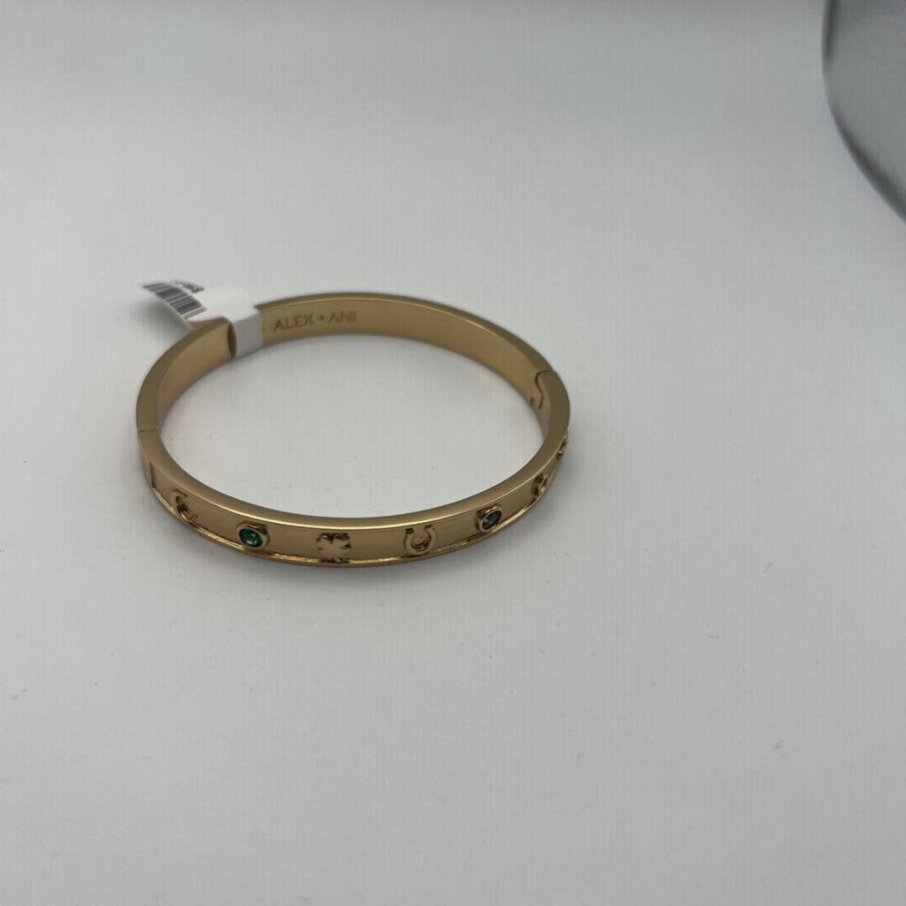 Alex and Ani Lucky Hinge Bracelet