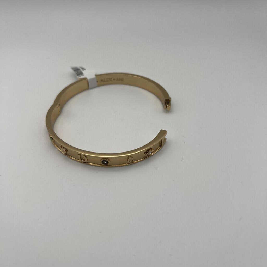 Alex and Ani Lucky Hinge Bracelet