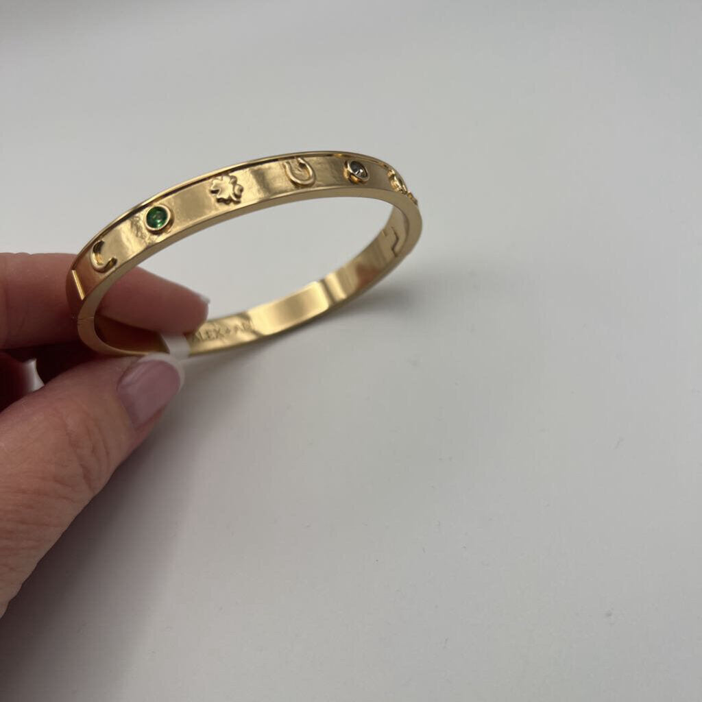Alex and Ani Lucky Hinge Bracelet